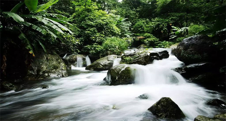 野趣沟风景区3